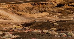 莫雷托：米兰没考虑签回蒂亚戈-席尔瓦，弗鲁米嫩塞也不想卖