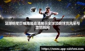 Tennis123年终总决赛在北京落下帷幕 336名选手参与角逐